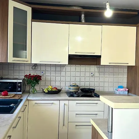 Homestay Zemun Garden Belgrade