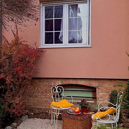 Zemun Garden *