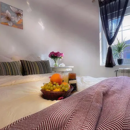 Zemun Garden Homestay *