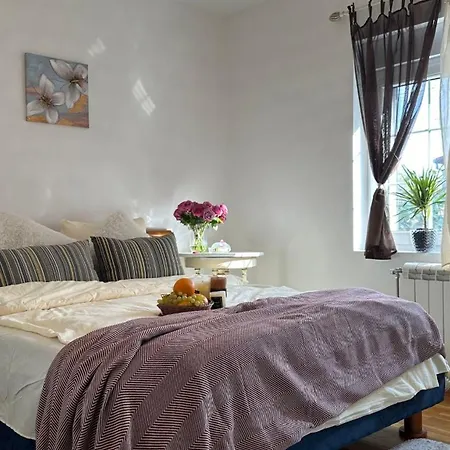 Homestay Zemun Garden Belgrade